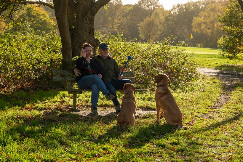A man and a woman on a bench with two dogs.