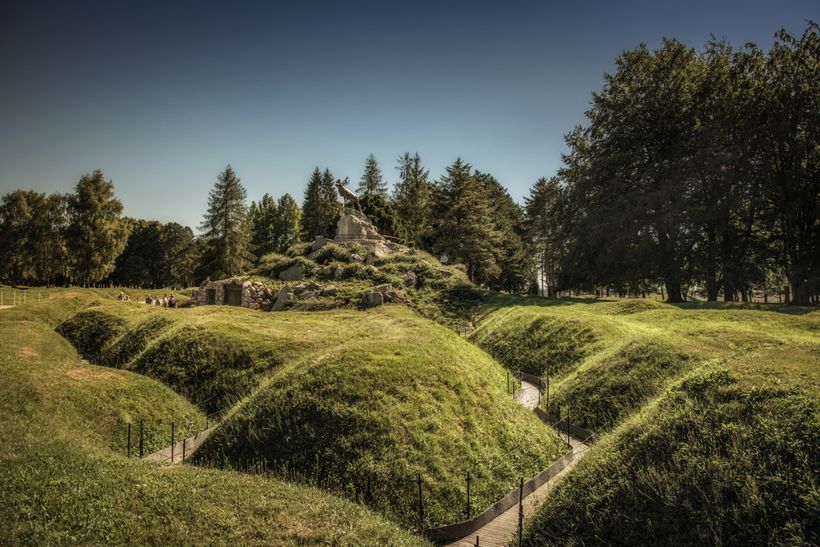 Multiples with grass on in a cluster