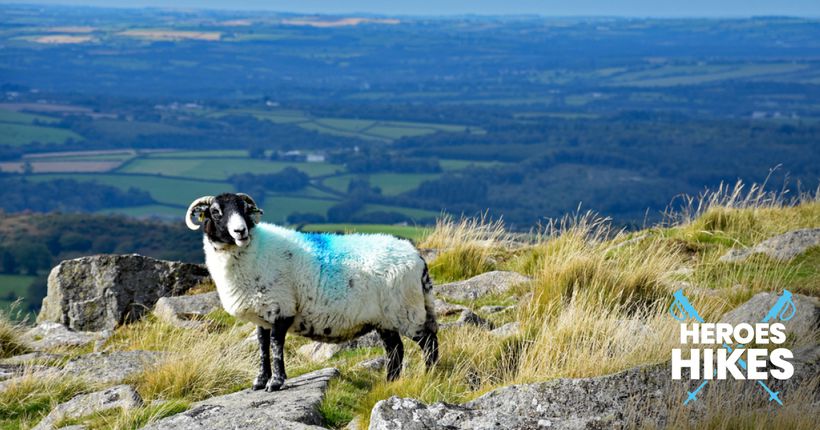 Dartmoor Heroes Hike